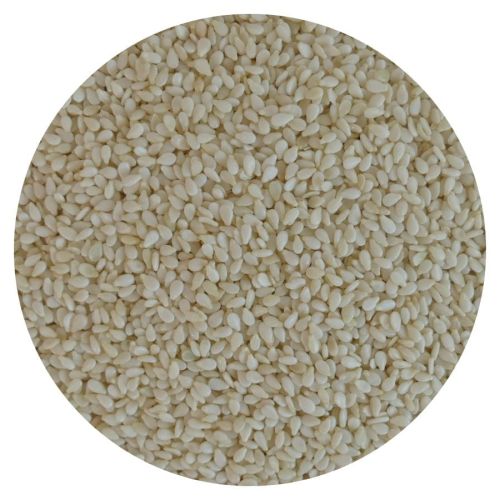 9237f1a876203d65cdc8eed5351130f4