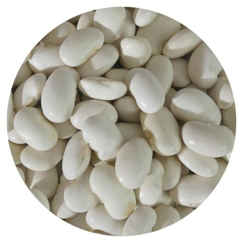 17ca6b4d8acf9ea7567ea413a26a1e88