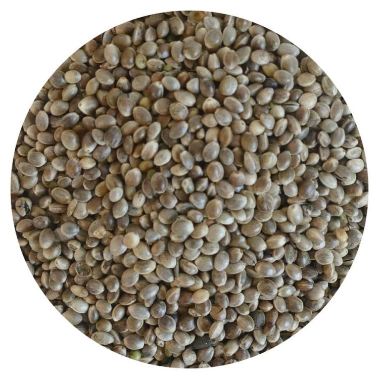 Nasiona konopi niełuskane