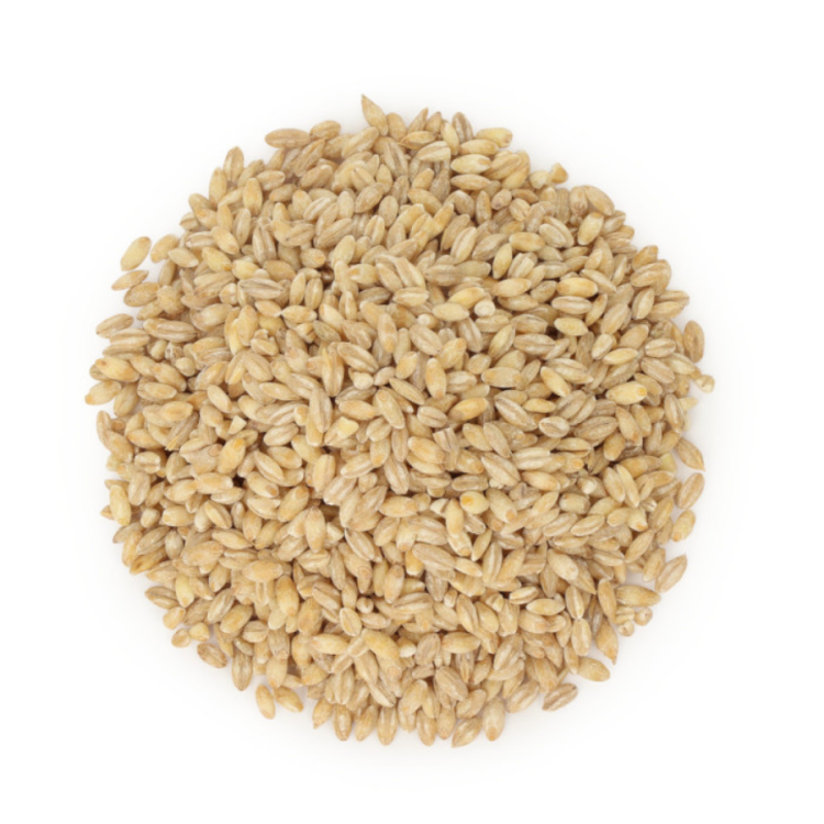 Kasza jęczmienna Pęczak