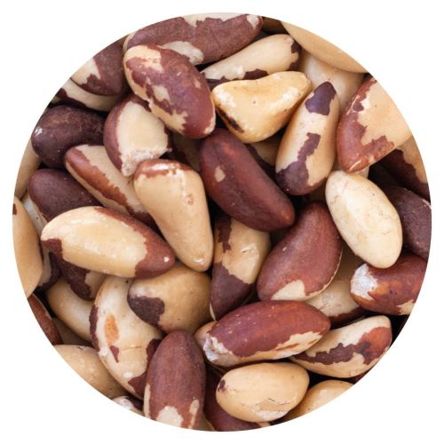 Orzechy brazylijskie luz